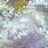 Ebb And Flow Painting - Image 2