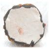 Pottery P00146 - Image 8